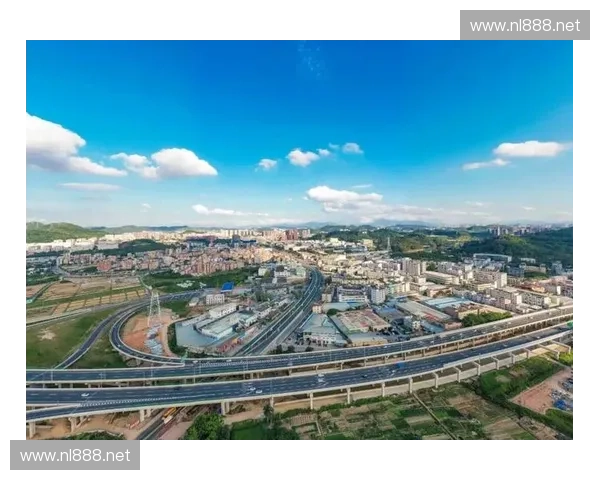 东莞台直播聚焦湾区经济发展展现城市创新与活力新篇章